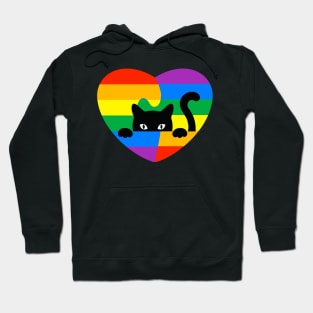 cat Rainbow Flag Human Rights Womens & Gay Rights LGBTQ+ Pride Hoodie